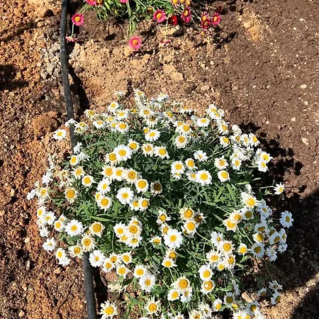 Getaway نيا إيراكليا